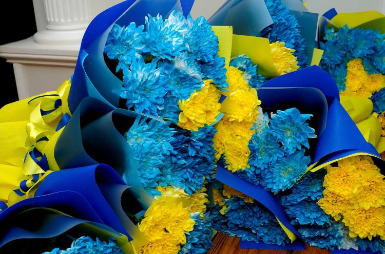 Фотогалерея