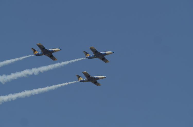 Фотогалерея