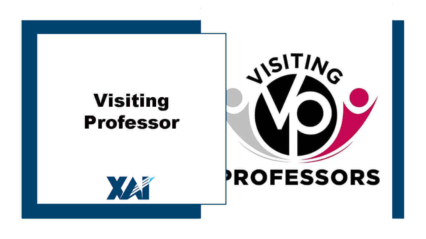 Visiting professor