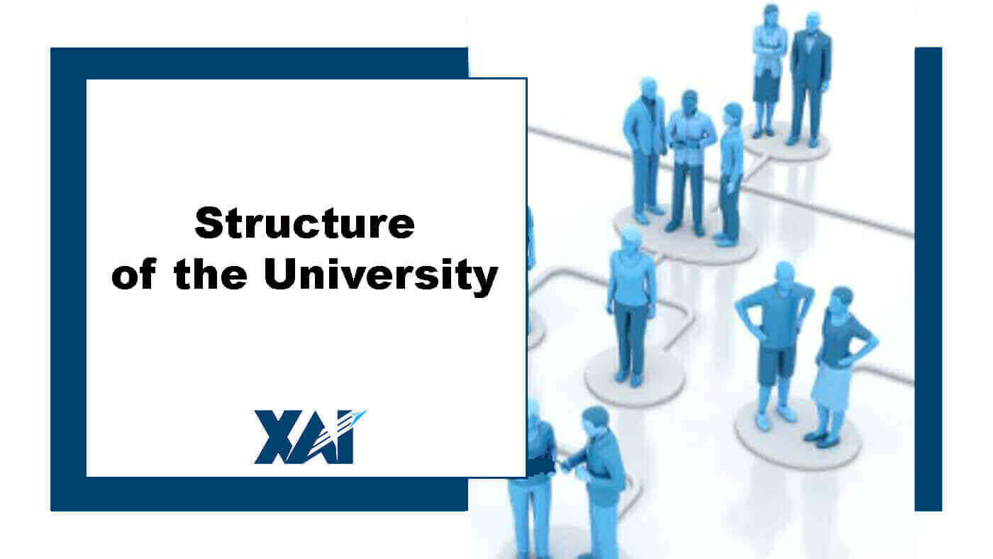 Structure of the University